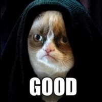 Милота дня: крохотная спальня для кошки