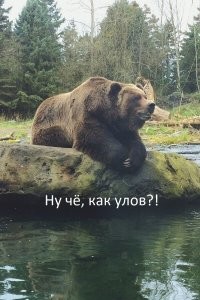 Калейдоскоп