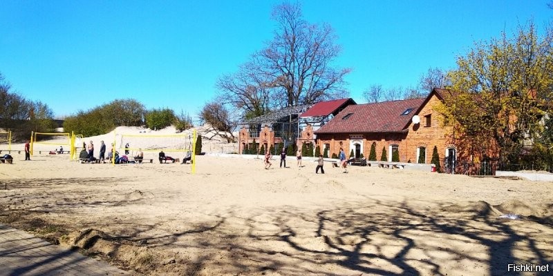 Сколько чуши написано... Начну с того что второе фото совершенно не Зеленоградска, а очень даже Светлогорск. 
 Куршская коса не 5 км от Зеленоградска, а сам город расположен в корне косы. Прямо за парком есть небольшое старое кладбище и вокруг него уже понастроили многоэтажек. граница кладбища и есть граница Национального парка Куршская коса. Летом на въезд постоянно дикие пробки с самого утра.
 Только абсолютный идиот мог написать что променад в Зелике защищён от ветра. Ну просто абсолютный!  Ветродуй там постоянный. нет никакого укрытия совершенно. Это не отменяет приятности прогулок там, но точно не безветрие. Так беззастенчиво врать надо иметь талант.
 Пляжей в рамках города почти нет. Очень узкая песчаная полоса осталась. Есть достаточно широкие места по краям города. В западной части сейчас всё перерыто-укрепляют авандюну.  Оттого песок совершенно не белый, а даже грязно бурый с глиной. Сковородок, про которые тут тоже упомянуто, тоже нет уже очень давно Есть остатки авандюны и прибрежный узкий лесочек, где уж точно нельзя загорать. Раньше были широкие поляны, где действительно было много укромных от ветра мест.
 Здание почтамта Кранца не принадлежит Ростелекому очень давно. Много лет стояло бесхозным и даже начало рушиться. Но сейчас частное лицо выкупило это красивое здание и там теперь ресторан "Телеграф" и два кафе с уличными площадками. Ресторан отличный. Очень оригинальный интерьер и вкусная кухня.
 Курортный проспект имеет буквально несколько старинных зданий. Например на фото справа после светлосерого дома виднеется новодел. Он красивый, но это новьё. Упомянутый Курхауз несколько лет ветшает. Проблемы там с владением. Так же криво упомянутый бывший торговый дом Натана Штернфельда, который назывался "Дом звёздного неба" (Кaufhaus sternfeld ostseebad нем.) Конечно находится на Курортном. Точнее то что от него осталось. Это боль. Фото ниже было-стало. Таких печальных оскольков у нас много. Жители жалуются, ругаются, но такие красивые здания по прежнему разрушаются от нерадивости и алчности.
 Возле свежеустановленной курортницы очереди нет. Конечно в погожий день кучкуются, но где тут не ходят толпы в погожий день? Русалки с али... как их у нас презрительно их называют... ну это не скульптура. хотя власти обещали там фонтан. Потом правда сказали "мы фонтанов боимся"(с). Не шучу. Это цитата.
 В кирхе-соборе колоколов на колокольне нет. Стоит конструкция на земле. Вторая церквуха ценных фресок не имела, поскольку никогда церковью не была. Её сделали  таковой в 90 годы и первую роспись делал мой знакомый.
 В парке детских волебольных площадок нет. Есть просто небольшая детская игровая возле ресторана Парк-хауз. И ЗА парком на месте которое называют Сковородкой.
 В целом конечно город производит на туристов приятное впечатление. Однако те, кто может сравнивать. отмечают как стало мало зелени в городе. Как много рушат старинные дома и какое убожество втыкают с помощью точечной застройки. Положение с авндюной катастрофическое, но там по прежнему строят новые многоэтажки и стоят недострои. Дальше от моря просто кошмарное строительство многоэтажных жилых комплексов. Это не милый примрский городок, а просто спальный район, который всё больше давит остатки старинных домиков. Более того Зеленоградск уже несколько лет как не имеет статуса курорта. Это просто город. НЕ КУРОРТ. сделали это как раз для свободного строительства всего этого кошмара. Однако пока(!) там всё же есть одно неоспоримая привлекательная вещь. МОРЕ. это радость и беда нашего города. Все хотят жить у моря. Оно радует и украшает. Вот несколько фото. Печальных, правдивых и просто красивых. Первые как раз бывший "Дом звёздного неба" тогда и в наши дни. Дальше упомянутый Курхауз. Несколько фоток променада. Безветренного Это шторма с ветром 21-25 м/с. в принципе для нас не особо сильный ветер, хотя такое бывает не так уж часто . Но ветер в 6-8 м/с дует практически всегда. Но после шторма бывает вот так.)) Потом Фото той самой Сковородки с волейбольными площадками. Несколько фоток красивости и новая скульптура Бегущая по волнам. Закат, дюны.. Красота. И последние три фото. Более старое-это 1974 год и наши дни. Обратите внимание на ширину пляжа.  Самое последнее-вид на город и косу. Фото примерно двухгодичной давности, поскольку сейчас ещё больше построено многоэтажек и некоторые врезаются в лесок у основания косы.