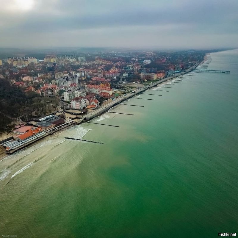 Сколько чуши написано... Начну с того что второе фото совершенно не Зеленоградска, а очень даже Светлогорск. 
 Куршская коса не 5 км от Зеленоградска, а сам город расположен в корне косы. Прямо за парком есть небольшое старое кладбище и вокруг него уже понастроили многоэтажек. граница кладбища и есть граница Национального парка Куршская коса. Летом на въезд постоянно дикие пробки с самого утра.
 Только абсолютный идиот мог написать что променад в Зелике защищён от ветра. Ну просто абсолютный!  Ветродуй там постоянный. нет никакого укрытия совершенно. Это не отменяет приятности прогулок там, но точно не безветрие. Так беззастенчиво врать надо иметь талант.
 Пляжей в рамках города почти нет. Очень узкая песчаная полоса осталась. Есть достаточно широкие места по краям города. В западной части сейчас всё перерыто-укрепляют авандюну.  Оттого песок совершенно не белый, а даже грязно бурый с глиной. Сковородок, про которые тут тоже упомянуто, тоже нет уже очень давно Есть остатки авандюны и прибрежный узкий лесочек, где уж точно нельзя загорать. Раньше были широкие поляны, где действительно было много укромных от ветра мест.
 Здание почтамта Кранца не принадлежит Ростелекому очень давно. Много лет стояло бесхозным и даже начало рушиться. Но сейчас частное лицо выкупило это красивое здание и там теперь ресторан "Телеграф" и два кафе с уличными площадками. Ресторан отличный. Очень оригинальный интерьер и вкусная кухня.
 Курортный проспект имеет буквально несколько старинных зданий. Например на фото справа после светлосерого дома виднеется новодел. Он красивый, но это новьё. Упомянутый Курхауз несколько лет ветшает. Проблемы там с владением. Так же криво упомянутый бывший торговый дом Натана Штернфельда, который назывался "Дом звёздного неба" (Кaufhaus sternfeld ostseebad нем.) Конечно находится на Курортном. Точнее то что от него осталось. Это боль. Фото ниже было-стало. Таких печальных оскольков у нас много. Жители жалуются, ругаются, но такие красивые здания по прежнему разрушаются от нерадивости и алчности.
 Возле свежеустановленной курортницы очереди нет. Конечно в погожий день кучкуются, но где тут не ходят толпы в погожий день? Русалки с али... как их у нас презрительно их называют... ну это не скульптура. хотя власти обещали там фонтан. Потом правда сказали "мы фонтанов боимся"(с). Не шучу. Это цитата.
 В кирхе-соборе колоколов на колокольне нет. Стоит конструкция на земле. Вторая церквуха ценных фресок не имела, поскольку никогда церковью не была. Её сделали  таковой в 90 годы и первую роспись делал мой знакомый.
 В парке детских волебольных площадок нет. Есть просто небольшая детская игровая возле ресторана Парк-хауз. И ЗА парком на месте которое называют Сковородкой.
 В целом конечно город производит на туристов приятное впечатление. Однако те, кто может сравнивать. отмечают как стало мало зелени в городе. Как много рушат старинные дома и какое убожество втыкают с помощью точечной застройки. Положение с авндюной катастрофическое, но там по прежнему строят новые многоэтажки и стоят недострои. Дальше от моря просто кошмарное строительство многоэтажных жилых комплексов. Это не милый примрский городок, а просто спальный район, который всё больше давит остатки старинных домиков. Более того Зеленоградск уже несколько лет как не имеет статуса курорта. Это просто город. НЕ КУРОРТ. сделали это как раз для свободного строительства всего этого кошмара. Однако пока(!) там всё же есть одно неоспоримая привлекательная вещь. МОРЕ. это радость и беда нашего города. Все хотят жить у моря. Оно радует и украшает. Вот несколько фото. Печальных, правдивых и просто красивых. Первые как раз бывший "Дом звёздного неба" тогда и в наши дни. Дальше упомянутый Курхауз. Несколько фоток променада. Безветренного Это шторма с ветром 21-25 м/с. в принципе для нас не особо сильный ветер, хотя такое бывает не так уж часто . Но ветер в 6-8 м/с дует практически всегда. Но после шторма бывает вот так.)) Потом Фото той самой Сковородки с волейбольными площадками. Несколько фоток красивости и новая скульптура Бегущая по волнам. Закат, дюны.. Красота. И последние три фото. Более старое-это 1974 год и наши дни. Обратите внимание на ширину пляжа.  Самое последнее-вид на город и косу. Фото примерно двухгодичной давности, поскольку сейчас ещё больше построено многоэтажек и некоторые врезаются в лесок у основания косы.