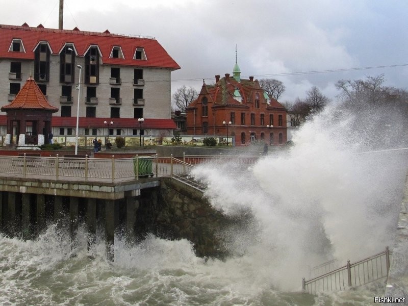 Сколько чуши написано... Начну с того что второе фото совершенно не Зеленоградска, а очень даже Светлогорск. 
 Куршская коса не 5 км от Зеленоградска, а сам город расположен в корне косы. Прямо за парком есть небольшое старое кладбище и вокруг него уже понастроили многоэтажек. граница кладбища и есть граница Национального парка Куршская коса. Летом на въезд постоянно дикие пробки с самого утра.
 Только абсолютный идиот мог написать что променад в Зелике защищён от ветра. Ну просто абсолютный!  Ветродуй там постоянный. нет никакого укрытия совершенно. Это не отменяет приятности прогулок там, но точно не безветрие. Так беззастенчиво врать надо иметь талант.
 Пляжей в рамках города почти нет. Очень узкая песчаная полоса осталась. Есть достаточно широкие места по краям города. В западной части сейчас всё перерыто-укрепляют авандюну.  Оттого песок совершенно не белый, а даже грязно бурый с глиной. Сковородок, про которые тут тоже упомянуто, тоже нет уже очень давно Есть остатки авандюны и прибрежный узкий лесочек, где уж точно нельзя загорать. Раньше были широкие поляны, где действительно было много укромных от ветра мест.
 Здание почтамта Кранца не принадлежит Ростелекому очень давно. Много лет стояло бесхозным и даже начало рушиться. Но сейчас частное лицо выкупило это красивое здание и там теперь ресторан "Телеграф" и два кафе с уличными площадками. Ресторан отличный. Очень оригинальный интерьер и вкусная кухня.
 Курортный проспект имеет буквально несколько старинных зданий. Например на фото справа после светлосерого дома виднеется новодел. Он красивый, но это новьё. Упомянутый Курхауз несколько лет ветшает. Проблемы там с владением. Так же криво упомянутый бывший торговый дом Натана Штернфельда, который назывался "Дом звёздного неба" (Кaufhaus sternfeld ostseebad нем.) Конечно находится на Курортном. Точнее то что от него осталось. Это боль. Фото ниже было-стало. Таких печальных оскольков у нас много. Жители жалуются, ругаются, но такие красивые здания по прежнему разрушаются от нерадивости и алчности.
 Возле свежеустановленной курортницы очереди нет. Конечно в погожий день кучкуются, но где тут не ходят толпы в погожий день? Русалки с али... как их у нас презрительно их называют... ну это не скульптура. хотя власти обещали там фонтан. Потом правда сказали "мы фонтанов боимся"(с). Не шучу. Это цитата.
 В кирхе-соборе колоколов на колокольне нет. Стоит конструкция на земле. Вторая церквуха ценных фресок не имела, поскольку никогда церковью не была. Её сделали  таковой в 90 годы и первую роспись делал мой знакомый.
 В парке детских волебольных площадок нет. Есть просто небольшая детская игровая возле ресторана Парк-хауз. И ЗА парком на месте которое называют Сковородкой.
 В целом конечно город производит на туристов приятное впечатление. Однако те, кто может сравнивать. отмечают как стало мало зелени в городе. Как много рушат старинные дома и какое убожество втыкают с помощью точечной застройки. Положение с авндюной катастрофическое, но там по прежнему строят новые многоэтажки и стоят недострои. Дальше от моря просто кошмарное строительство многоэтажных жилых комплексов. Это не милый примрский городок, а просто спальный район, который всё больше давит остатки старинных домиков. Более того Зеленоградск уже несколько лет как не имеет статуса курорта. Это просто город. НЕ КУРОРТ. сделали это как раз для свободного строительства всего этого кошмара. Однако пока(!) там всё же есть одно неоспоримая привлекательная вещь. МОРЕ. это радость и беда нашего города. Все хотят жить у моря. Оно радует и украшает. Вот несколько фото. Печальных, правдивых и просто красивых. Первые как раз бывший "Дом звёздного неба" тогда и в наши дни. Дальше упомянутый Курхауз. Несколько фоток променада. Безветренного Это шторма с ветром 21-25 м/с. в принципе для нас не особо сильный ветер, хотя такое бывает не так уж часто . Но ветер в 6-8 м/с дует практически всегда. Но после шторма бывает вот так.)) Потом Фото той самой Сковородки с волейбольными площадками. Несколько фоток красивости и новая скульптура Бегущая по волнам. Закат, дюны.. Красота. И последние три фото. Более старое-это 1974 год и наши дни. Обратите внимание на ширину пляжа.  Самое последнее-вид на город и косу. Фото примерно двухгодичной давности, поскольку сейчас ещё больше построено многоэтажек и некоторые врезаются в лесок у основания косы.