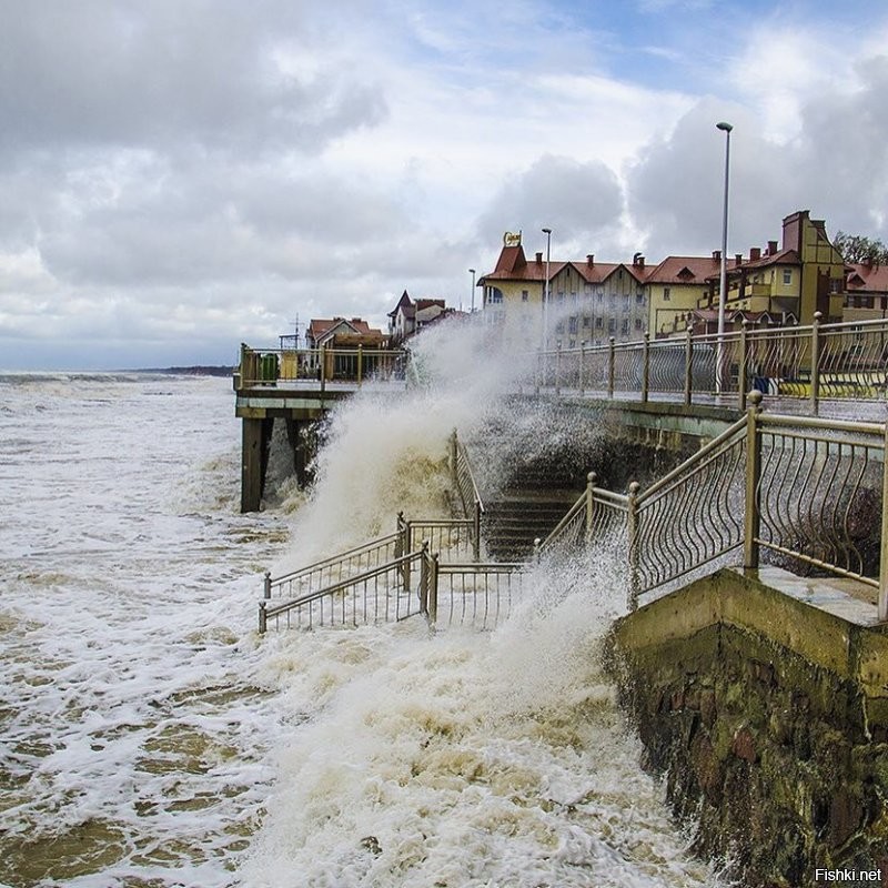Сколько чуши написано... Начну с того что второе фото совершенно не Зеленоградска, а очень даже Светлогорск. 
 Куршская коса не 5 км от Зеленоградска, а сам город расположен в корне косы. Прямо за парком есть небольшое старое кладбище и вокруг него уже понастроили многоэтажек. граница кладбища и есть граница Национального парка Куршская коса. Летом на въезд постоянно дикие пробки с самого утра.
 Только абсолютный идиот мог написать что променад в Зелике защищён от ветра. Ну просто абсолютный!  Ветродуй там постоянный. нет никакого укрытия совершенно. Это не отменяет приятности прогулок там, но точно не безветрие. Так беззастенчиво врать надо иметь талант.
 Пляжей в рамках города почти нет. Очень узкая песчаная полоса осталась. Есть достаточно широкие места по краям города. В западной части сейчас всё перерыто-укрепляют авандюну.  Оттого песок совершенно не белый, а даже грязно бурый с глиной. Сковородок, про которые тут тоже упомянуто, тоже нет уже очень давно Есть остатки авандюны и прибрежный узкий лесочек, где уж точно нельзя загорать. Раньше были широкие поляны, где действительно было много укромных от ветра мест.
 Здание почтамта Кранца не принадлежит Ростелекому очень давно. Много лет стояло бесхозным и даже начало рушиться. Но сейчас частное лицо выкупило это красивое здание и там теперь ресторан "Телеграф" и два кафе с уличными площадками. Ресторан отличный. Очень оригинальный интерьер и вкусная кухня.
 Курортный проспект имеет буквально несколько старинных зданий. Например на фото справа после светлосерого дома виднеется новодел. Он красивый, но это новьё. Упомянутый Курхауз несколько лет ветшает. Проблемы там с владением. Так же криво упомянутый бывший торговый дом Натана Штернфельда, который назывался "Дом звёздного неба" (Кaufhaus sternfeld ostseebad нем.) Конечно находится на Курортном. Точнее то что от него осталось. Это боль. Фото ниже было-стало. Таких печальных оскольков у нас много. Жители жалуются, ругаются, но такие красивые здания по прежнему разрушаются от нерадивости и алчности.
 Возле свежеустановленной курортницы очереди нет. Конечно в погожий день кучкуются, но где тут не ходят толпы в погожий день? Русалки с али... как их у нас презрительно их называют... ну это не скульптура. хотя власти обещали там фонтан. Потом правда сказали "мы фонтанов боимся"(с). Не шучу. Это цитата.
 В кирхе-соборе колоколов на колокольне нет. Стоит конструкция на земле. Вторая церквуха ценных фресок не имела, поскольку никогда церковью не была. Её сделали  таковой в 90 годы и первую роспись делал мой знакомый.
 В парке детских волебольных площадок нет. Есть просто небольшая детская игровая возле ресторана Парк-хауз. И ЗА парком на месте которое называют Сковородкой.
 В целом конечно город производит на туристов приятное впечатление. Однако те, кто может сравнивать. отмечают как стало мало зелени в городе. Как много рушат старинные дома и какое убожество втыкают с помощью точечной застройки. Положение с авндюной катастрофическое, но там по прежнему строят новые многоэтажки и стоят недострои. Дальше от моря просто кошмарное строительство многоэтажных жилых комплексов. Это не милый примрский городок, а просто спальный район, который всё больше давит остатки старинных домиков. Более того Зеленоградск уже несколько лет как не имеет статуса курорта. Это просто город. НЕ КУРОРТ. сделали это как раз для свободного строительства всего этого кошмара. Однако пока(!) там всё же есть одно неоспоримая привлекательная вещь. МОРЕ. это радость и беда нашего города. Все хотят жить у моря. Оно радует и украшает. Вот несколько фото. Печальных, правдивых и просто красивых. Первые как раз бывший "Дом звёздного неба" тогда и в наши дни. Дальше упомянутый Курхауз. Несколько фоток променада. Безветренного Это шторма с ветром 21-25 м/с. в принципе для нас не особо сильный ветер, хотя такое бывает не так уж часто . Но ветер в 6-8 м/с дует практически всегда. Но после шторма бывает вот так.)) Потом Фото той самой Сковородки с волейбольными площадками. Несколько фоток красивости и новая скульптура Бегущая по волнам. Закат, дюны.. Красота. И последние три фото. Более старое-это 1974 год и наши дни. Обратите внимание на ширину пляжа.  Самое последнее-вид на город и косу. Фото примерно двухгодичной давности, поскольку сейчас ещё больше построено многоэтажек и некоторые врезаются в лесок у основания косы.