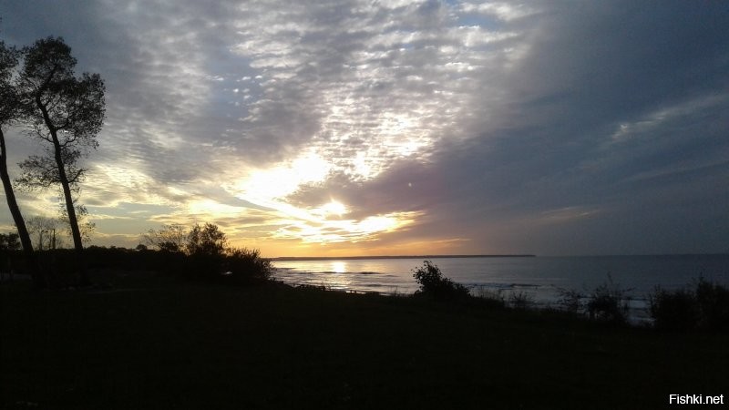 Сколько чуши написано... Начну с того что второе фото совершенно не Зеленоградска, а очень даже Светлогорск. 
 Куршская коса не 5 км от Зеленоградска, а сам город расположен в корне косы. Прямо за парком есть небольшое старое кладбище и вокруг него уже понастроили многоэтажек. граница кладбища и есть граница Национального парка Куршская коса. Летом на въезд постоянно дикие пробки с самого утра.
 Только абсолютный идиот мог написать что променад в Зелике защищён от ветра. Ну просто абсолютный!  Ветродуй там постоянный. нет никакого укрытия совершенно. Это не отменяет приятности прогулок там, но точно не безветрие. Так беззастенчиво врать надо иметь талант.
 Пляжей в рамках города почти нет. Очень узкая песчаная полоса осталась. Есть достаточно широкие места по краям города. В западной части сейчас всё перерыто-укрепляют авандюну.  Оттого песок совершенно не белый, а даже грязно бурый с глиной. Сковородок, про которые тут тоже упомянуто, тоже нет уже очень давно Есть остатки авандюны и прибрежный узкий лесочек, где уж точно нельзя загорать. Раньше были широкие поляны, где действительно было много укромных от ветра мест.
 Здание почтамта Кранца не принадлежит Ростелекому очень давно. Много лет стояло бесхозным и даже начало рушиться. Но сейчас частное лицо выкупило это красивое здание и там теперь ресторан "Телеграф" и два кафе с уличными площадками. Ресторан отличный. Очень оригинальный интерьер и вкусная кухня.
 Курортный проспект имеет буквально несколько старинных зданий. Например на фото справа после светлосерого дома виднеется новодел. Он красивый, но это новьё. Упомянутый Курхауз несколько лет ветшает. Проблемы там с владением. Так же криво упомянутый бывший торговый дом Натана Штернфельда, который назывался "Дом звёздного неба" (Кaufhaus sternfeld ostseebad нем.) Конечно находится на Курортном. Точнее то что от него осталось. Это боль. Фото ниже было-стало. Таких печальных оскольков у нас много. Жители жалуются, ругаются, но такие красивые здания по прежнему разрушаются от нерадивости и алчности.
 Возле свежеустановленной курортницы очереди нет. Конечно в погожий день кучкуются, но где тут не ходят толпы в погожий день? Русалки с али... как их у нас презрительно их называют... ну это не скульптура. хотя власти обещали там фонтан. Потом правда сказали "мы фонтанов боимся"(с). Не шучу. Это цитата.
 В кирхе-соборе колоколов на колокольне нет. Стоит конструкция на земле. Вторая церквуха ценных фресок не имела, поскольку никогда церковью не была. Её сделали  таковой в 90 годы и первую роспись делал мой знакомый.
 В парке детских волебольных площадок нет. Есть просто небольшая детская игровая возле ресторана Парк-хауз. И ЗА парком на месте которое называют Сковородкой.
 В целом конечно город производит на туристов приятное впечатление. Однако те, кто может сравнивать. отмечают как стало мало зелени в городе. Как много рушат старинные дома и какое убожество втыкают с помощью точечной застройки. Положение с авндюной катастрофическое, но там по прежнему строят новые многоэтажки и стоят недострои. Дальше от моря просто кошмарное строительство многоэтажных жилых комплексов. Это не милый примрский городок, а просто спальный район, который всё больше давит остатки старинных домиков. Более того Зеленоградск уже несколько лет как не имеет статуса курорта. Это просто город. НЕ КУРОРТ. сделали это как раз для свободного строительства всего этого кошмара. Однако пока(!) там всё же есть одно неоспоримая привлекательная вещь. МОРЕ. это радость и беда нашего города. Все хотят жить у моря. Оно радует и украшает. Вот несколько фото. Печальных, правдивых и просто красивых. Первые как раз бывший "Дом звёздного неба" тогда и в наши дни. Дальше упомянутый Курхауз. Несколько фоток променада. Безветренного Это шторма с ветром 21-25 м/с. в принципе для нас не особо сильный ветер, хотя такое бывает не так уж часто . Но ветер в 6-8 м/с дует практически всегда. Но после шторма бывает вот так.)) Потом Фото той самой Сковородки с волейбольными площадками. Несколько фоток красивости и новая скульптура Бегущая по волнам. Закат, дюны.. Красота. И последние три фото. Более старое-это 1974 год и наши дни. Обратите внимание на ширину пляжа.  Самое последнее-вид на город и косу. Фото примерно двухгодичной давности, поскольку сейчас ещё больше построено многоэтажек и некоторые врезаются в лесок у основания косы.