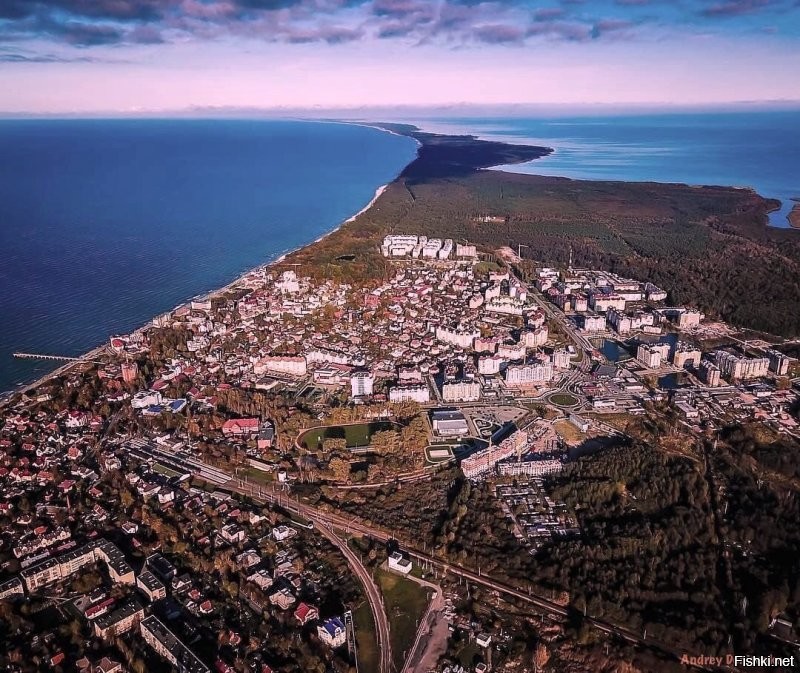 Сколько чуши написано... Начну с того что второе фото совершенно не Зеленоградска, а очень даже Светлогорск. 
 Куршская коса не 5 км от Зеленоградска, а сам город расположен в корне косы. Прямо за парком есть небольшое старое кладбище и вокруг него уже понастроили многоэтажек. граница кладбища и есть граница Национального парка Куршская коса. Летом на въезд постоянно дикие пробки с самого утра.
 Только абсолютный идиот мог написать что променад в Зелике защищён от ветра. Ну просто абсолютный!  Ветродуй там постоянный. нет никакого укрытия совершенно. Это не отменяет приятности прогулок там, но точно не безветрие. Так беззастенчиво врать надо иметь талант.
 Пляжей в рамках города почти нет. Очень узкая песчаная полоса осталась. Есть достаточно широкие места по краям города. В западной части сейчас всё перерыто-укрепляют авандюну.  Оттого песок совершенно не белый, а даже грязно бурый с глиной. Сковородок, про которые тут тоже упомянуто, тоже нет уже очень давно Есть остатки авандюны и прибрежный узкий лесочек, где уж точно нельзя загорать. Раньше были широкие поляны, где действительно было много укромных от ветра мест.
 Здание почтамта Кранца не принадлежит Ростелекому очень давно. Много лет стояло бесхозным и даже начало рушиться. Но сейчас частное лицо выкупило это красивое здание и там теперь ресторан "Телеграф" и два кафе с уличными площадками. Ресторан отличный. Очень оригинальный интерьер и вкусная кухня.
 Курортный проспект имеет буквально несколько старинных зданий. Например на фото справа после светлосерого дома виднеется новодел. Он красивый, но это новьё. Упомянутый Курхауз несколько лет ветшает. Проблемы там с владением. Так же криво упомянутый бывший торговый дом Натана Штернфельда, который назывался "Дом звёздного неба" (Кaufhaus sternfeld ostseebad нем.) Конечно находится на Курортном. Точнее то что от него осталось. Это боль. Фото ниже было-стало. Таких печальных оскольков у нас много. Жители жалуются, ругаются, но такие красивые здания по прежнему разрушаются от нерадивости и алчности.
 Возле свежеустановленной курортницы очереди нет. Конечно в погожий день кучкуются, но где тут не ходят толпы в погожий день? Русалки с али... как их у нас презрительно их называют... ну это не скульптура. хотя власти обещали там фонтан. Потом правда сказали "мы фонтанов боимся"(с). Не шучу. Это цитата.
 В кирхе-соборе колоколов на колокольне нет. Стоит конструкция на земле. Вторая церквуха ценных фресок не имела, поскольку никогда церковью не была. Её сделали  таковой в 90 годы и первую роспись делал мой знакомый.
 В парке детских волебольных площадок нет. Есть просто небольшая детская игровая возле ресторана Парк-хауз. И ЗА парком на месте которое называют Сковородкой.
 В целом конечно город производит на туристов приятное впечатление. Однако те, кто может сравнивать. отмечают как стало мало зелени в городе. Как много рушат старинные дома и какое убожество втыкают с помощью точечной застройки. Положение с авндюной катастрофическое, но там по прежнему строят новые многоэтажки и стоят недострои. Дальше от моря просто кошмарное строительство многоэтажных жилых комплексов. Это не милый примрский городок, а просто спальный район, который всё больше давит остатки старинных домиков. Более того Зеленоградск уже несколько лет как не имеет статуса курорта. Это просто город. НЕ КУРОРТ. сделали это как раз для свободного строительства всего этого кошмара. Однако пока(!) там всё же есть одно неоспоримая привлекательная вещь. МОРЕ. это радость и беда нашего города. Все хотят жить у моря. Оно радует и украшает. Вот несколько фото. Печальных, правдивых и просто красивых. Первые как раз бывший "Дом звёздного неба" тогда и в наши дни. Дальше упомянутый Курхауз. Несколько фоток променада. Безветренного Это шторма с ветром 21-25 м/с. в принципе для нас не особо сильный ветер, хотя такое бывает не так уж часто . Но ветер в 6-8 м/с дует практически всегда. Но после шторма бывает вот так.)) Потом Фото той самой Сковородки с волейбольными площадками. Несколько фоток красивости и новая скульптура Бегущая по волнам. Закат, дюны.. Красота. И последние три фото. Более старое-это 1974 год и наши дни. Обратите внимание на ширину пляжа.  Самое последнее-вид на город и косу. Фото примерно двухгодичной давности, поскольку сейчас ещё больше построено многоэтажек и некоторые врезаются в лесок у основания косы.