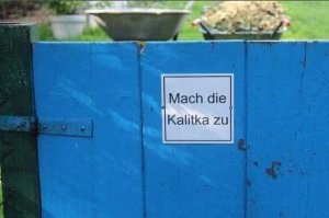 Смешные комментарии из соц.сетей