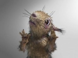 Вечерний выпуск историй о нас