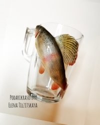 Плавнички я леплю из прозрачной глины для большего реализма, лучше всего они смотрятся на прозрачной кружке