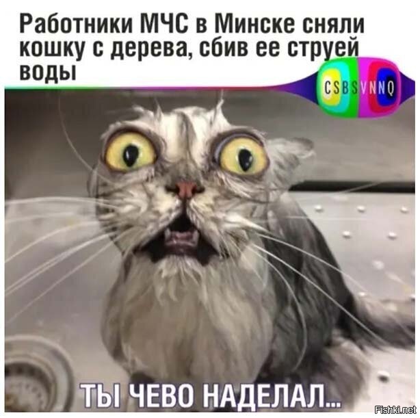 Простая радость мойщика окон