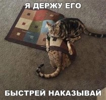 Что произойдет, если вдохнуть два тяжелых нетоксичных газа?