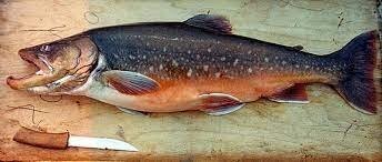 А вот и сама загадочная рыба из озера Эльгыгытгын, из отряда лосесевых: