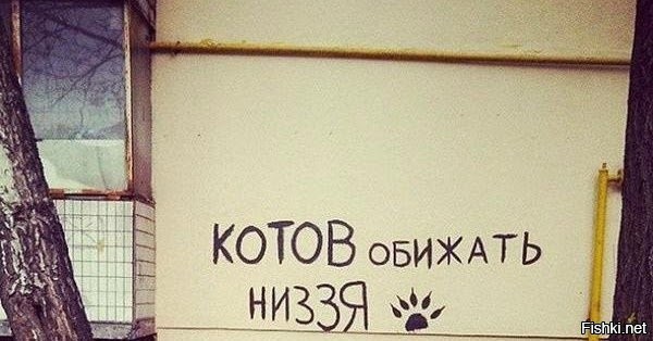 Простая радость мойщика окон