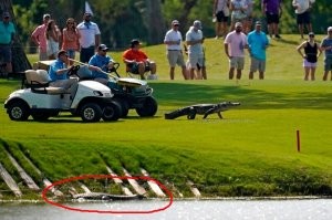 У них спец операция, главный герой идёт в обход.