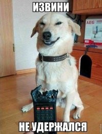 Не собака, а бульдозер