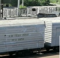 Смешные комментарии из соц.сетей