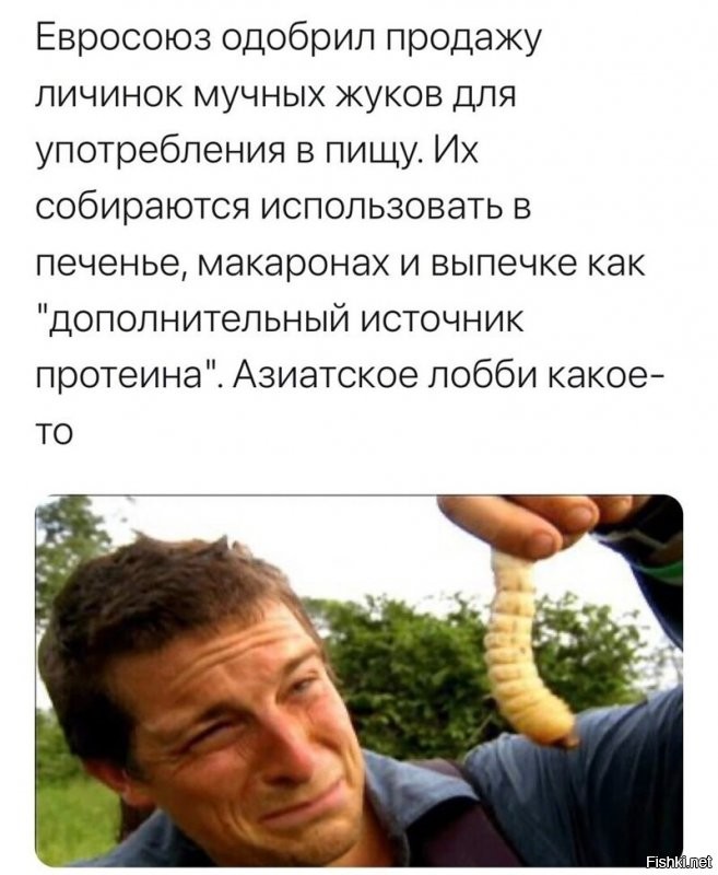 всего одна бумажка - и теперь то, что было "испорченным продуктом" превращается в "продукт,содержащий разрешенные пищевые добавки" ... и насколько упрощается хранение муки - завелись червяки - и фиг с ними ...