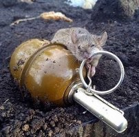 Смешные комментарии из соц.сетей