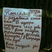 Ну, потерял ребёнок сумку с игрушками... Что неумного автора так расстроило?

Некоторые подписи будто 3-классик писал, судя по уровню мысли.