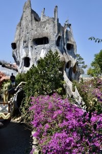 "Крэйзи хауз" в Далате (Вьетнам)