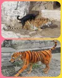 Смешные комментарии из соц.сетей