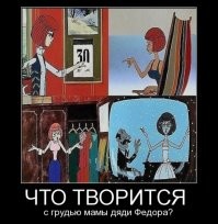 Смешные комментарии из соц.сетей