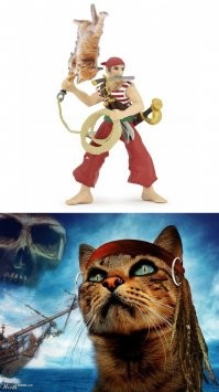 "кидали кошек"