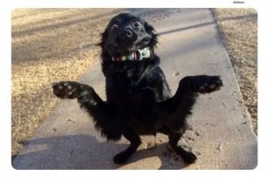 Бывает и хуже...