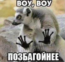 В Европарламенте хотят отключить Россию от PornHub