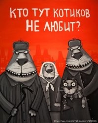 Бесстрашная кошка против самоуверенного пса