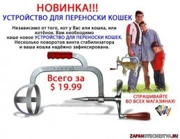 А переноска у неё небось вот такая!