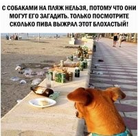 Осторожно, купание запрещено!