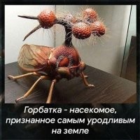 Это вообще из нашей галактики?