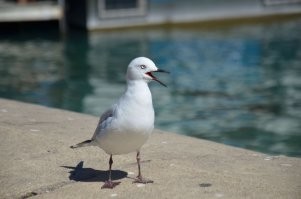 Зацените народ...я понимаю что не шедевры...завод так тот вообще на мобильник снят...просто случайное фото ...просто уж больно сюжет понравился