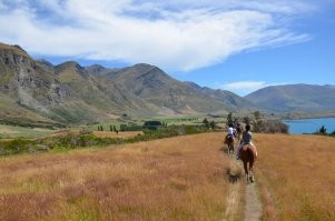 Зацените народ...я понимаю что не шедевры...завод так тот вообще на мобильник снят...просто случайное фото ...просто уж больно сюжет понравился