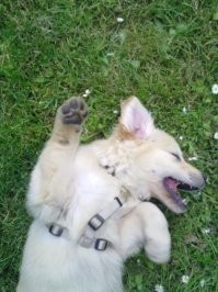 Все вы врете )))