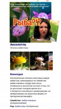 Простят всякую хрень, а мы потом удивляемся, что дети нихрена не знают.