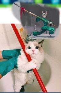 Веселые  картинки