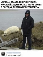 Не приучен, а приучит..