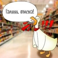 Смешные и познавательные картинки