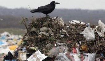 Автомобильный юмор в картинках