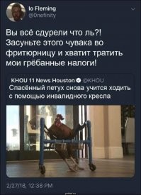 Утка, получившая травму после нападения лисы, снова учится ходить