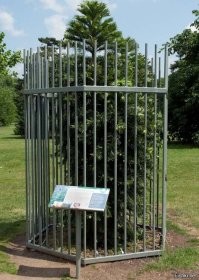 Чем так нагрешил, что в клетку его? Сбежать пытался, или от кого защищают?