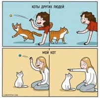 Это моя кошка раньше и сейчас, когда обленилась совсем.
