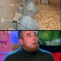 Колоритные кадры, которые можно увидеть только в России