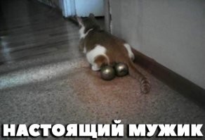 Долго же ему было нечего делать.......