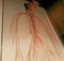 Мемы и смешные картинки субботы