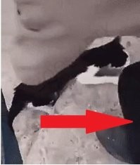 Уважуха чуваку!