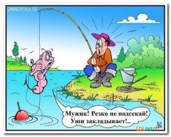 Смешные и познавательные картинки