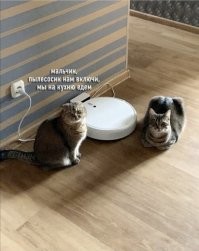 Правда и вымысел о робопылесосах