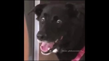 17 красоток, которым макияж пошёл не на пользу