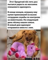 Мемы и смешные картинки субботы